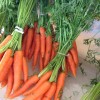 carrots