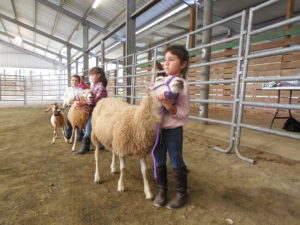 Cover photo for Livestock Show Interest Meeting