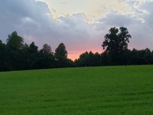 Sunset over Hayfield