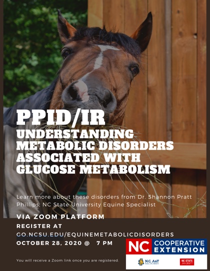 Flier with picture of horse and information about webinar