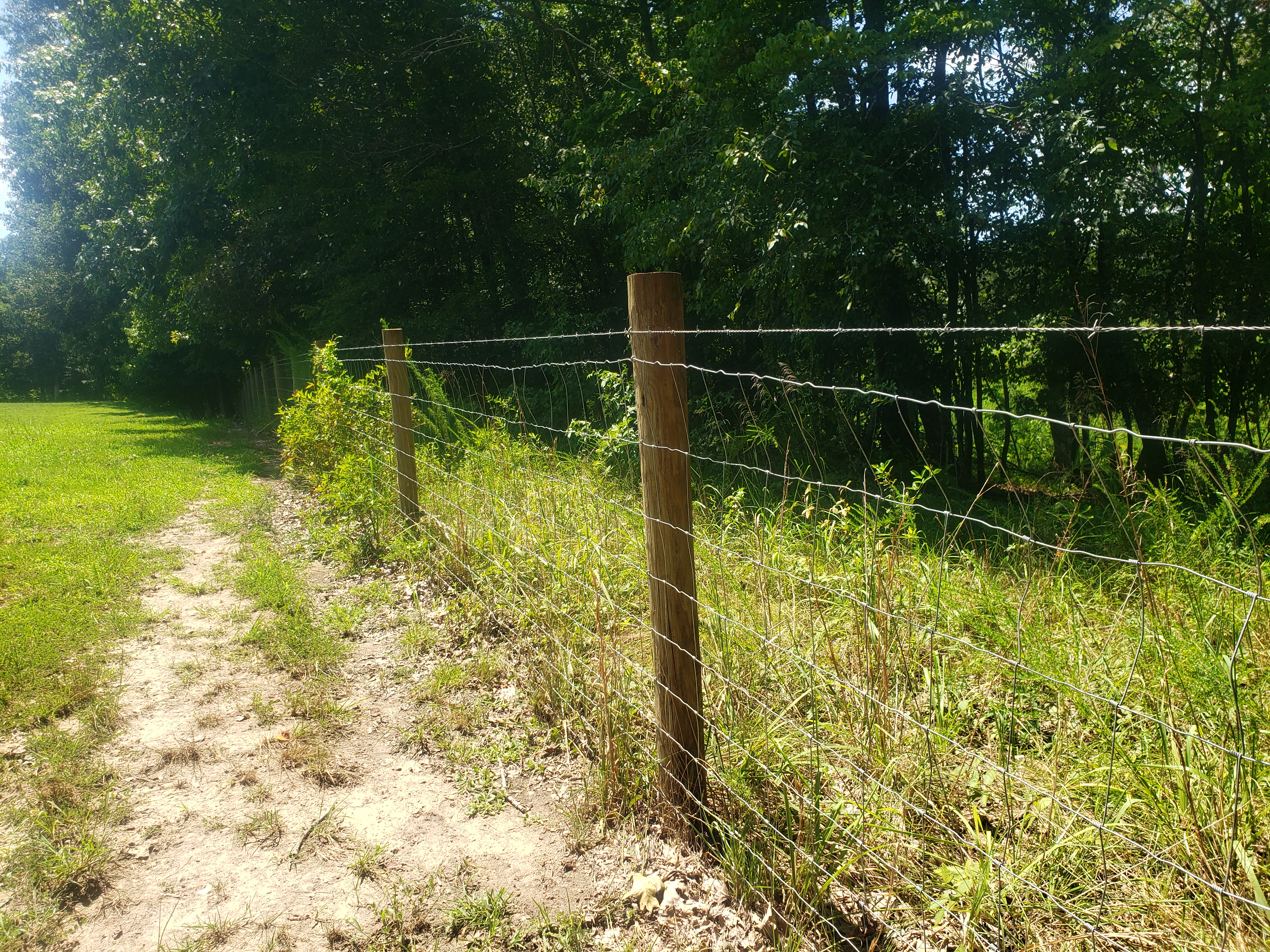 new woven wire fence