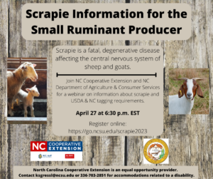 flyer for sheep and goat scrapie workshop