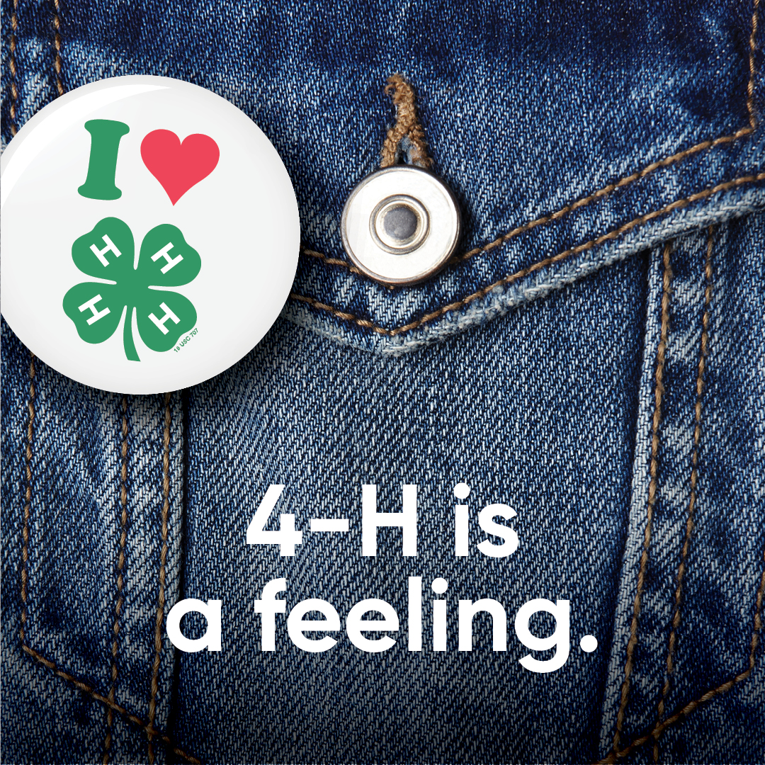 Denim jacket breast pocket adorned with a button reading "I <3 4-H." Centered at the bottom of the image, text reads "4-H is a feeling."
