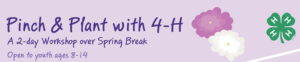 Pinch & Plant with 4-H: A 2-Day, Spring Break Workshop