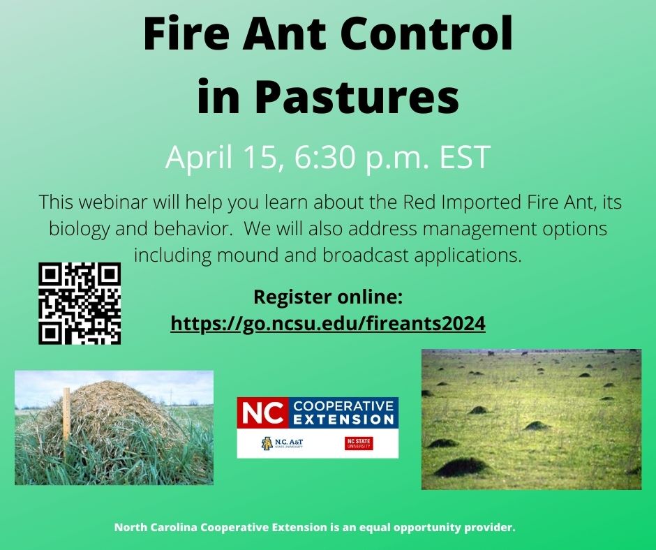 Fire Ants in Pasture Webinar