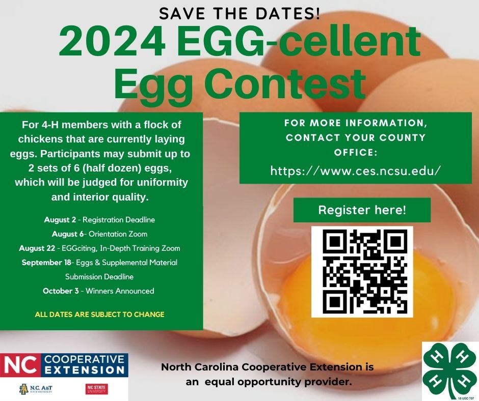 information on egg contest