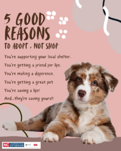 Cover photo for Health Benefits of Pets